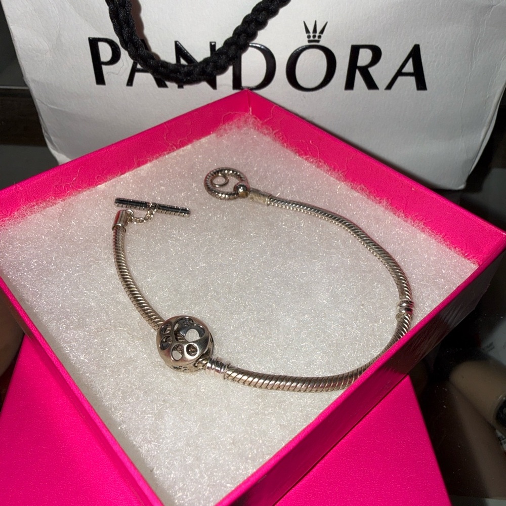 Pandora Silver Bracelet with Unique Charm